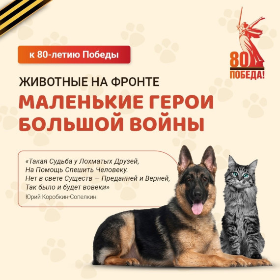 Животные-герои в годы войны: подвиги четвероногих друзей во имя победы.